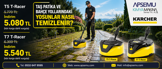 Taş Patika ve Bahçe Yollarındaki Yosunlar Nasıl Temizlenir?