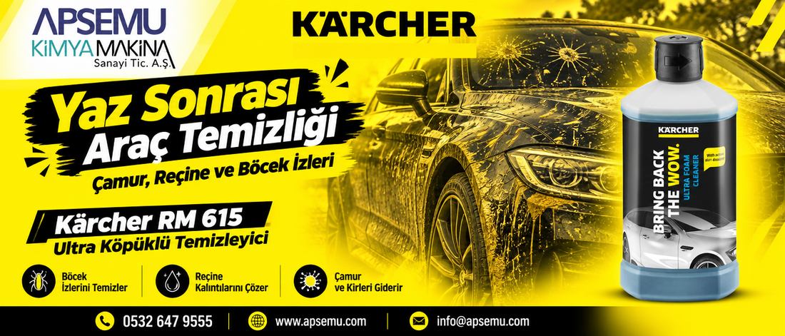 Yaz Sonrası Araç Temizliği: Çamur, Reçine ve Böcek İzleri