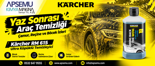 Yaz Sonrası Araç Temizliği: Çamur, Reçine ve Böcek İzleri