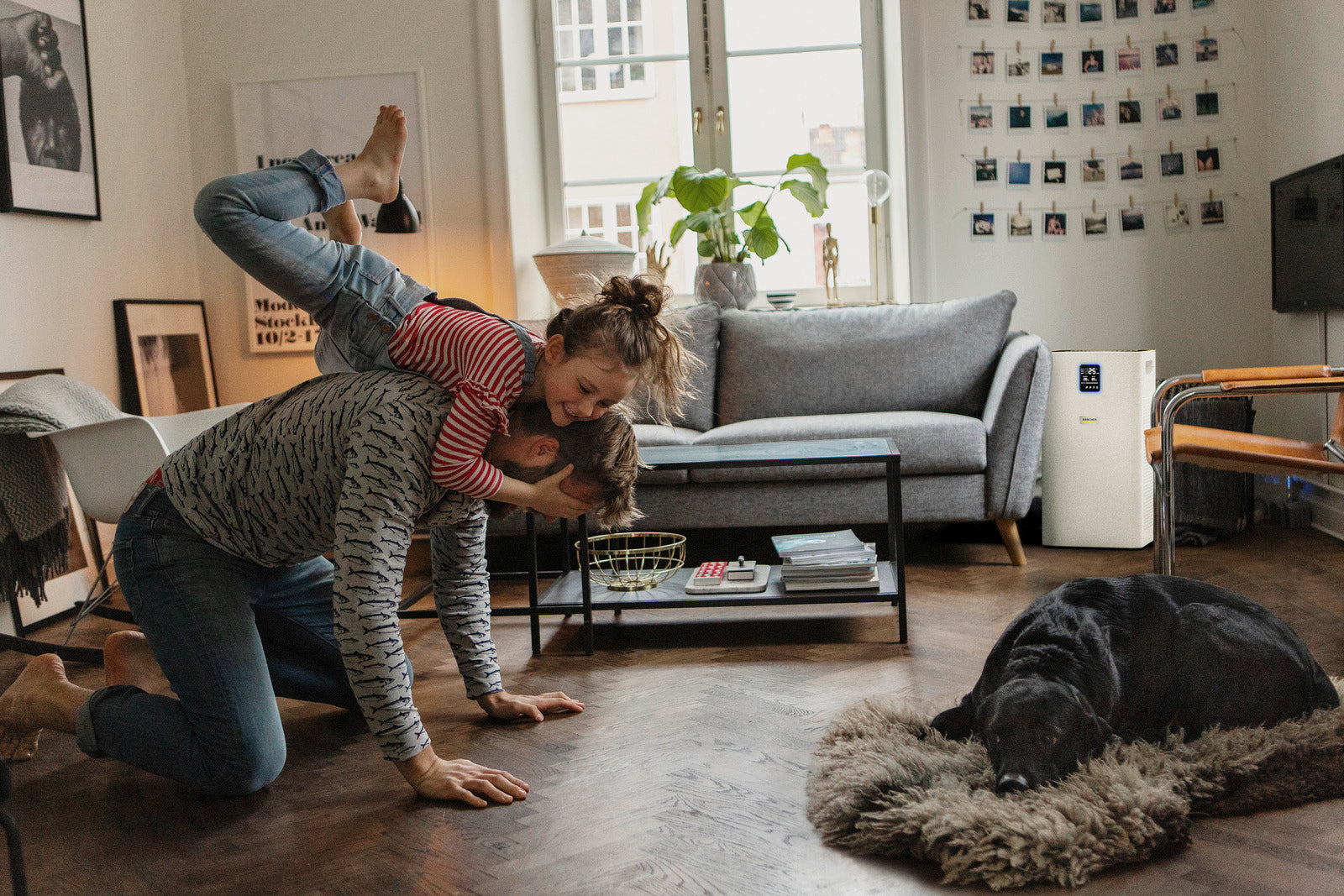 AF 50 Hava Temizleme Makinesi