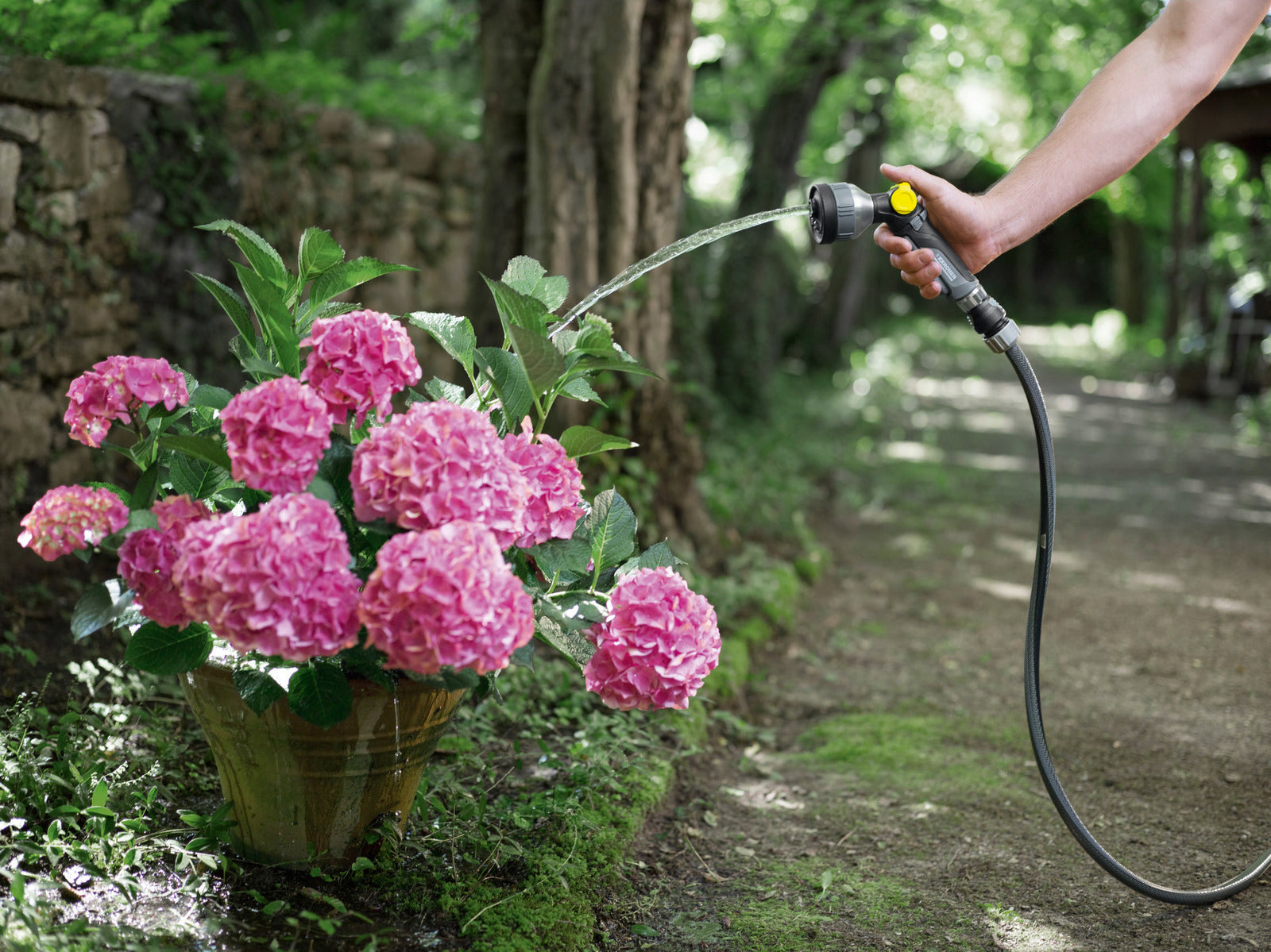 Hose PrimoFlex Premium 1/2"-50m