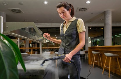 SG 4/4 Buharlı Temizlik Makinesi