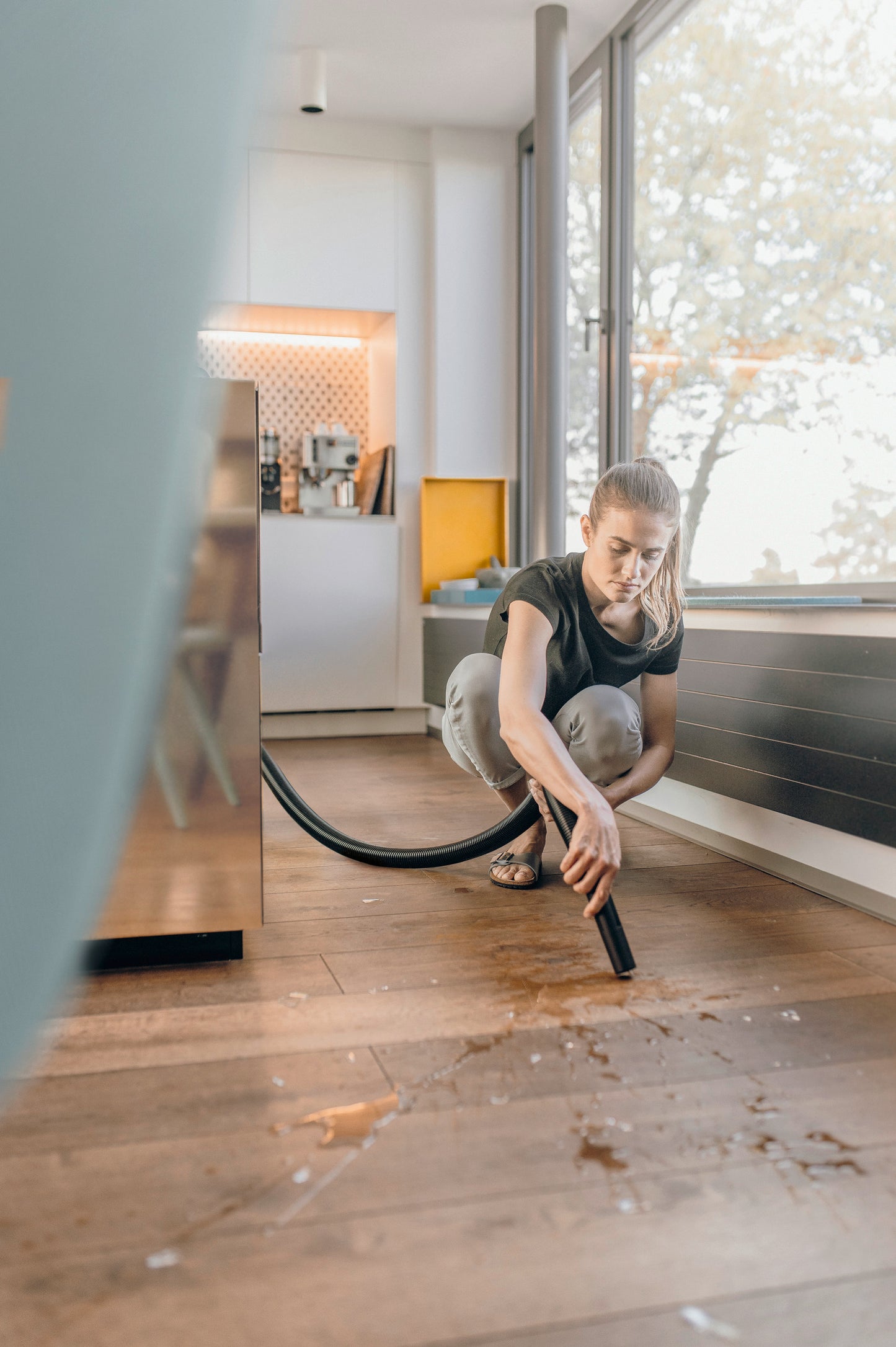 WD 2 Plus V-12/6/18/C Home Islak Kuru Elektrikli Süpürge