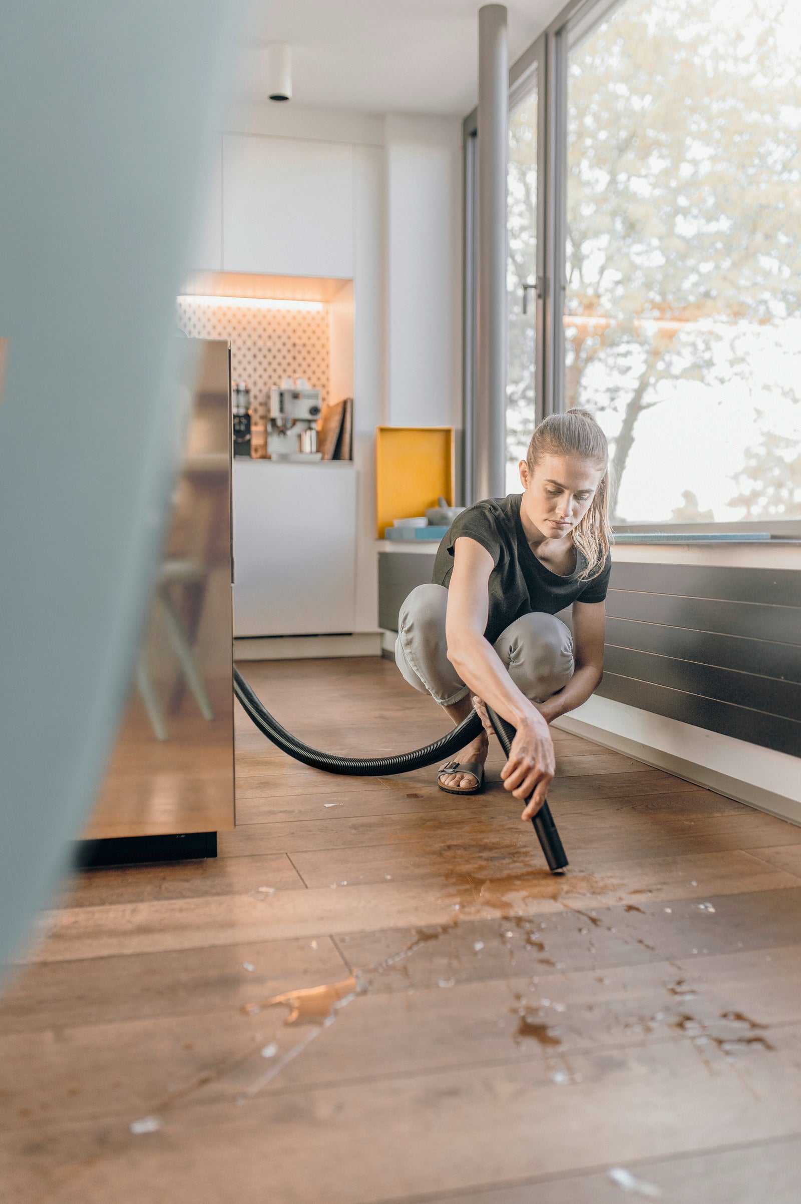 WD 2 Plus V-12/6/18/C Home Islak Kuru Elektrikli Süpürge