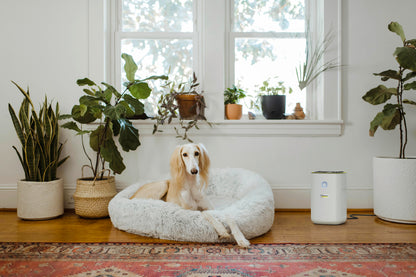 AF 20 Hava Temizleme Makinesi